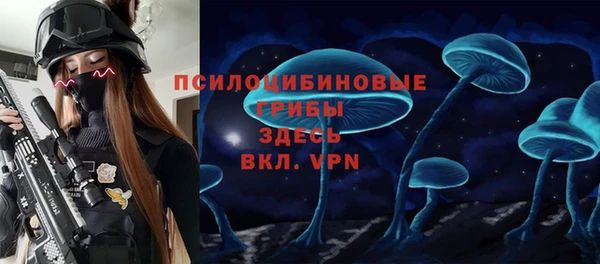apvp Каменногорск