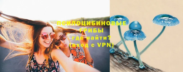 apvp Каменногорск