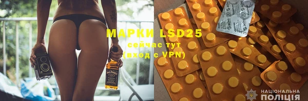 ПСИЛОЦИБИНОВЫЕ ГРИБЫ Каменка