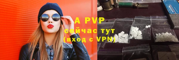 ПСИЛОЦИБИНОВЫЕ ГРИБЫ Каменка