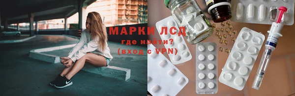 ПСИЛОЦИБИНОВЫЕ ГРИБЫ Каменка