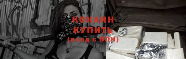 apvp Каменногорск
