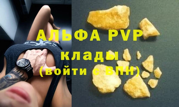 ПСИЛОЦИБИНОВЫЕ ГРИБЫ Каменка