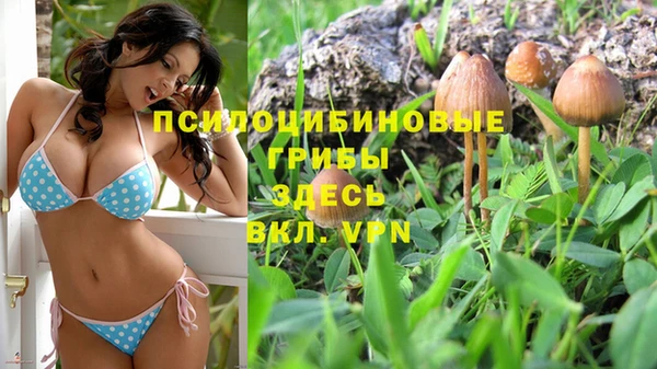 apvp Каменногорск