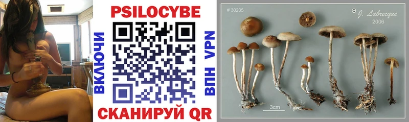 Галлюциногенные грибы ЛСД  Купить  Очёр 